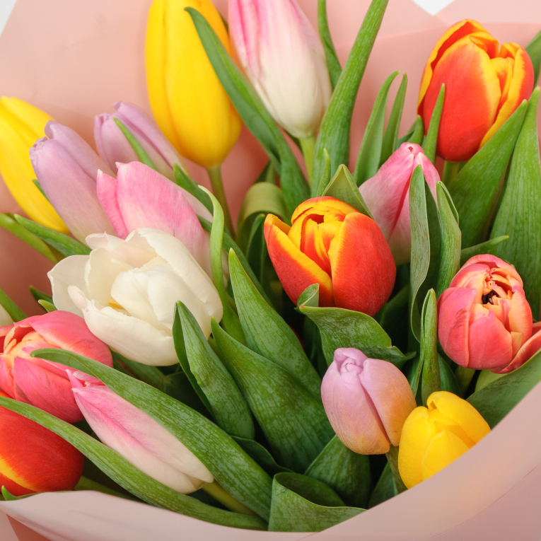 Букет 19 тюльпанов микс