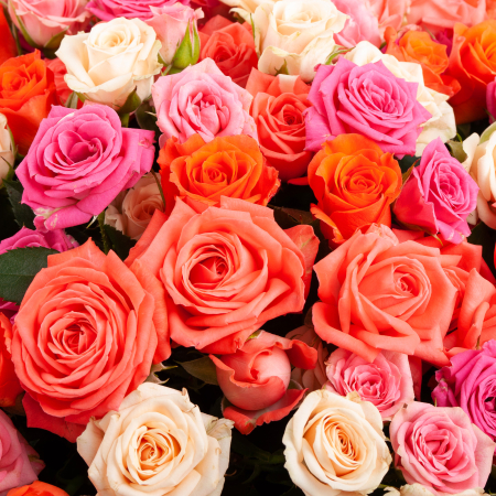 Букет из 101 розы Первый поцелуй