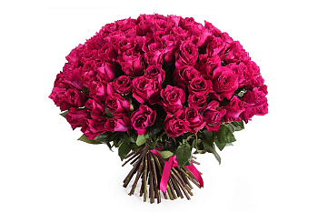 Букет 101 роза Мами Блю