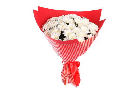 Букет 15 белых кустовых хризантем в красной бумаге