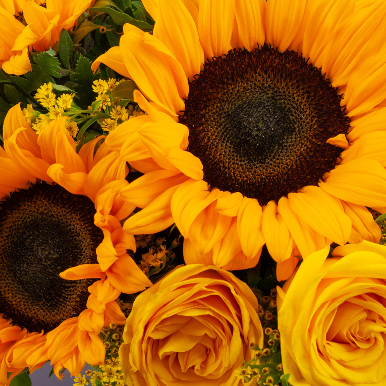 Композиция в кашпо Солнечные часы