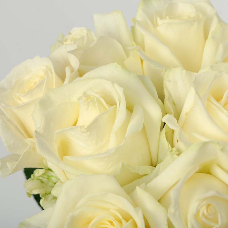 Букет 9 роз Аваланш 60/70 см