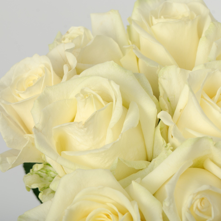 Букет 9 роз Аваланш 60/70 см