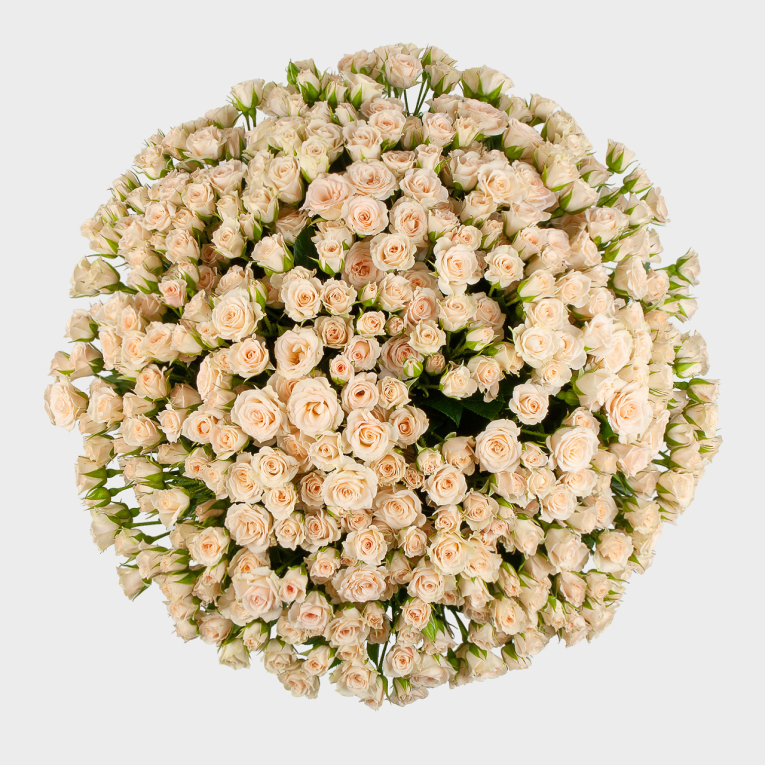 Букет из 101 розы Любовный десерт