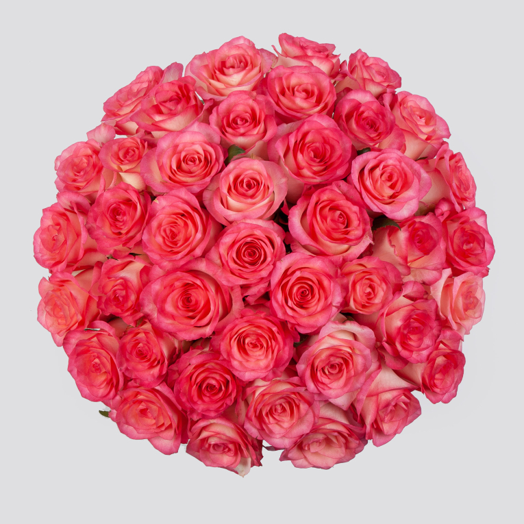 Букет в зеленой коробке Женское счастье (51 роза)