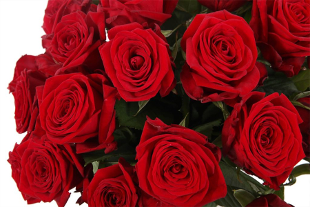 Букет 35 красных роз в корзине