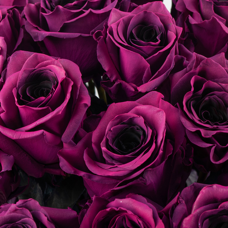 Букет 25 роз Одна любовь