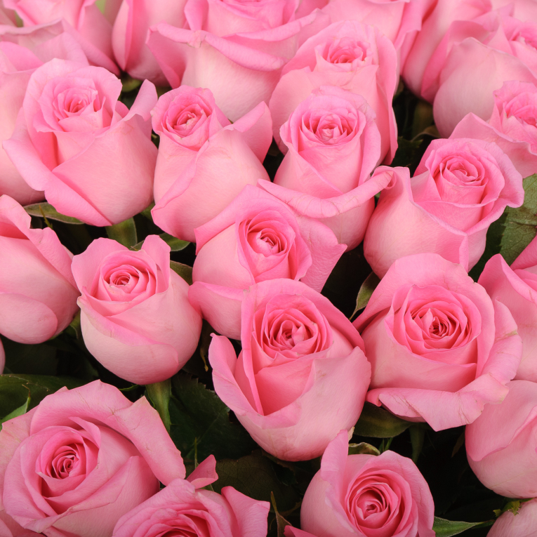 Букет из 51 розы Сердце ангела