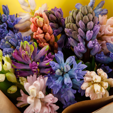 Букет гиацинтов Весенний ветер (15 шт)