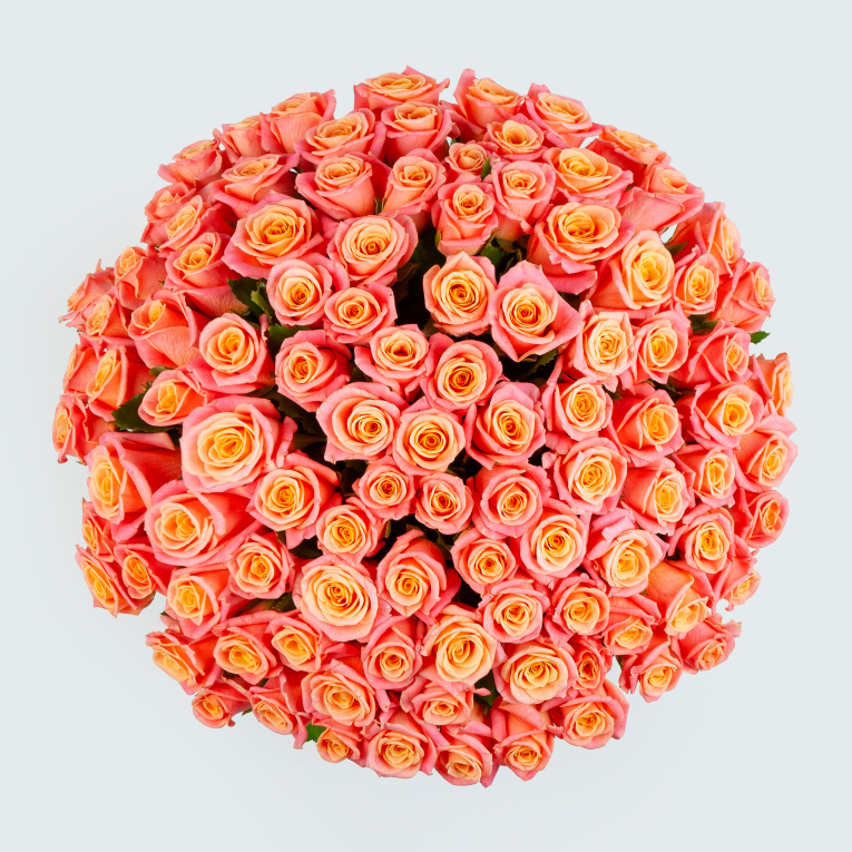 Букет из 101 розы Добрые вести