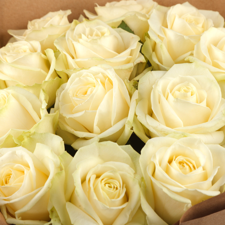 Букет из 15 роз Прекрасная незнакомка