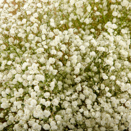 Букет из гипсофилы Белая дымка