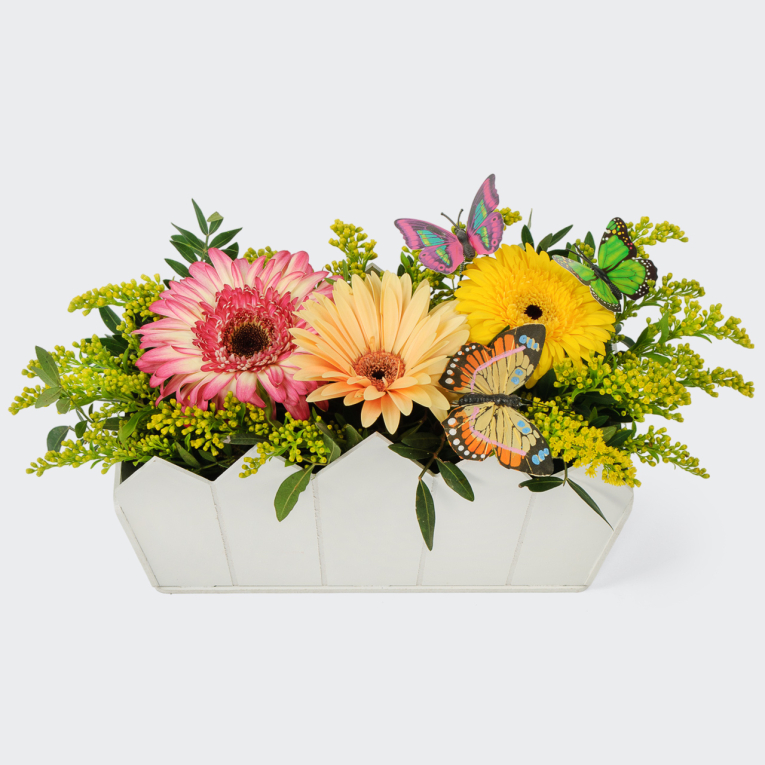 Композиция Метаморфозы знаний