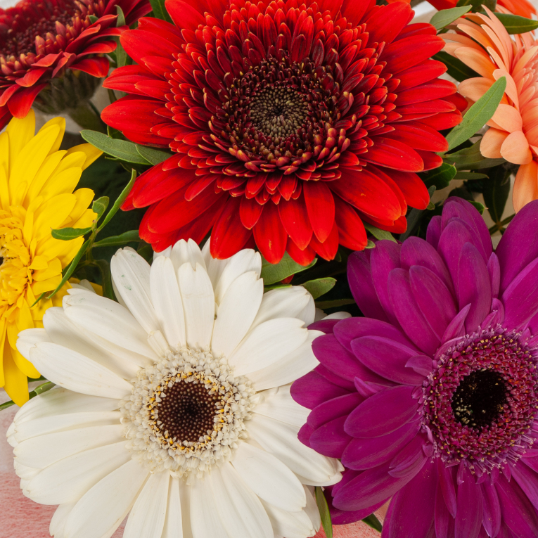 Букет в коробке Семицветик