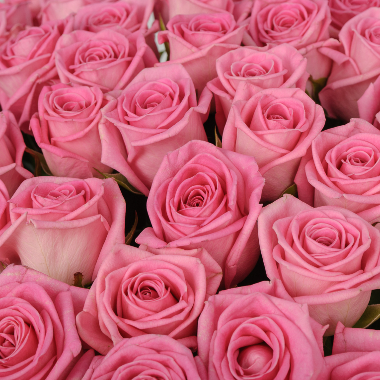 Букет 51 роза Розовая звезда