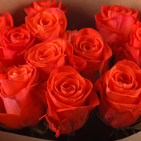 Букет из 15 роз Все начинается с любви