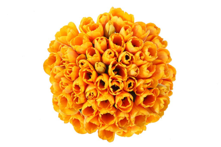 Букет 51 королевский тюльпан в коробке, рыжие