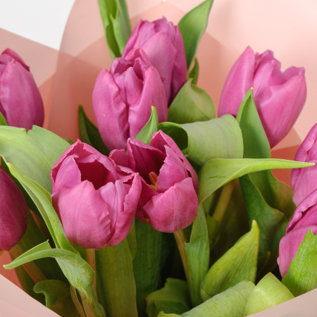 Букет 9 фиолетовых тюльпанов