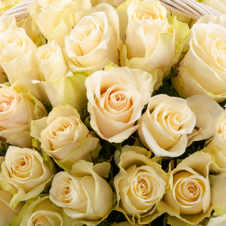 Букет в корзине Облако из роз (101 роза)