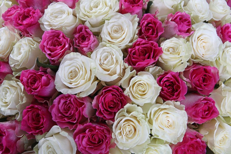 Букет Ты и я