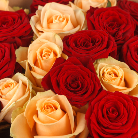 Букет 21 роза Любовь без конца и края