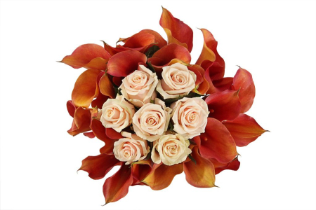 Букет с каллами Гордость аристократа