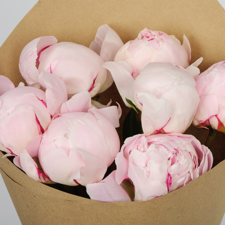 Букет из 7 пионов Страна грез