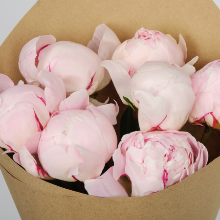 Букет из 7 пионов Страна грез