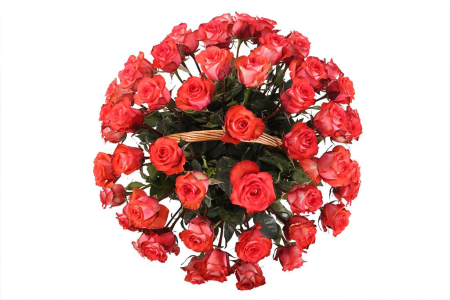 Букет 51 роза Игуана в корзине