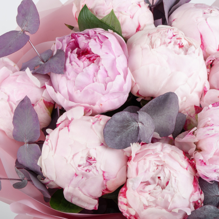 Букет из 9 пионов Изабель