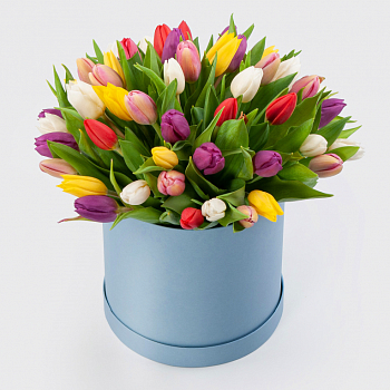 Букет 51 тюльпан в голубой коробке Нежные объятия