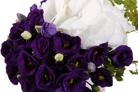 Букет Месяц в облаках в коробке