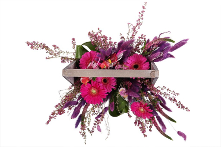 Композиция Малиновка в кашпо