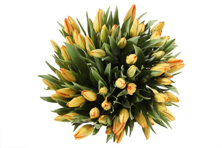 Букет 51 тюльпан, оранжевые