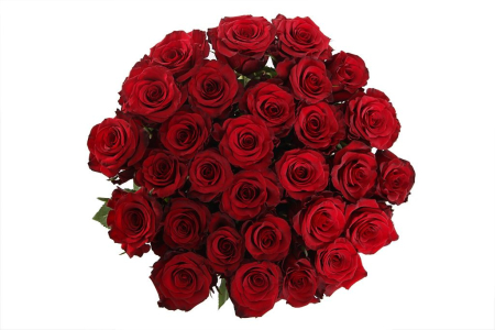 Букет 31 роза Ред Париж