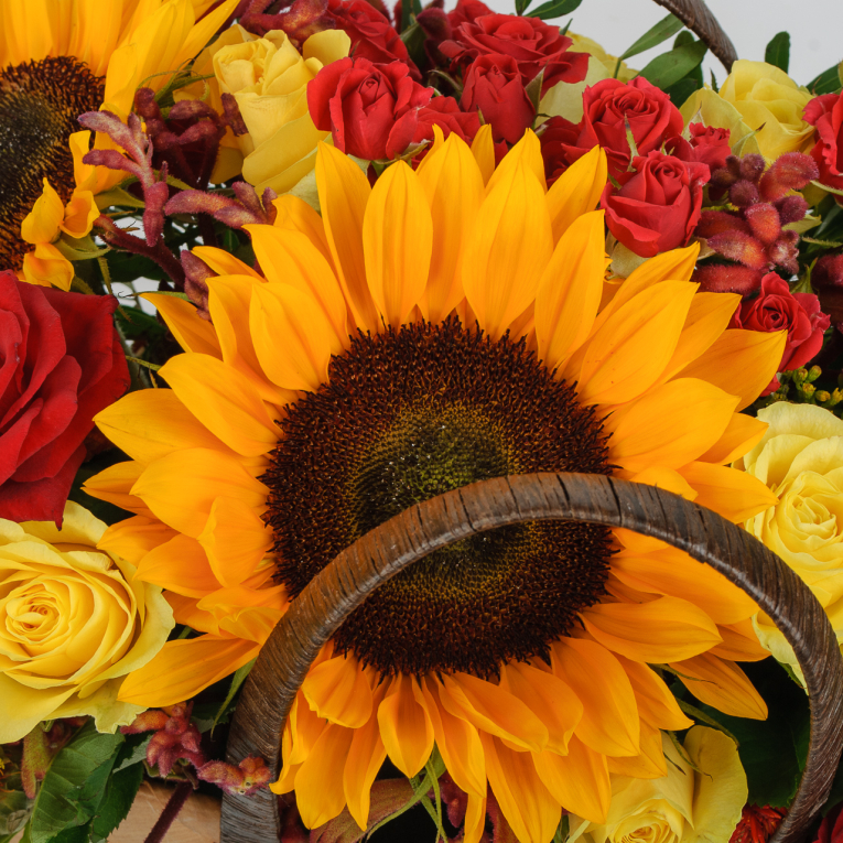 Букет в сумке Испанский день