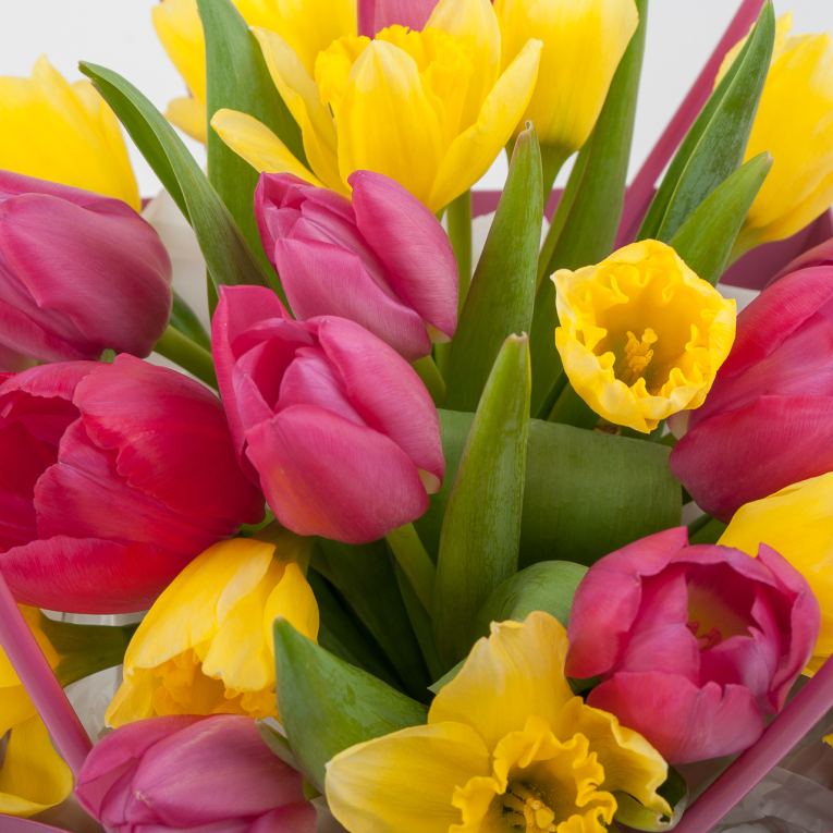 Букет в коробке Свежее настроение