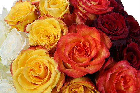 Букет Под радугой (Ред Париж)