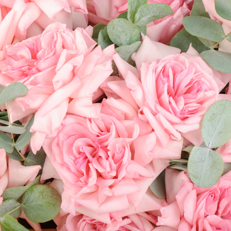 Букет из 15 роз Розовая пена