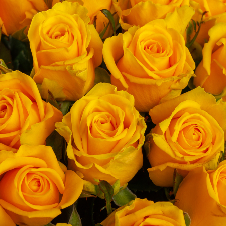 Букет из 45 роз Золото любви