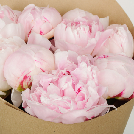 Букет из 9 пионов Страна грез