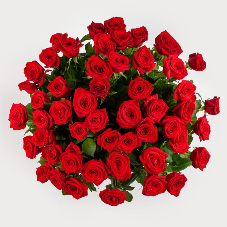 Букет из 51 красной розы 50/60 см