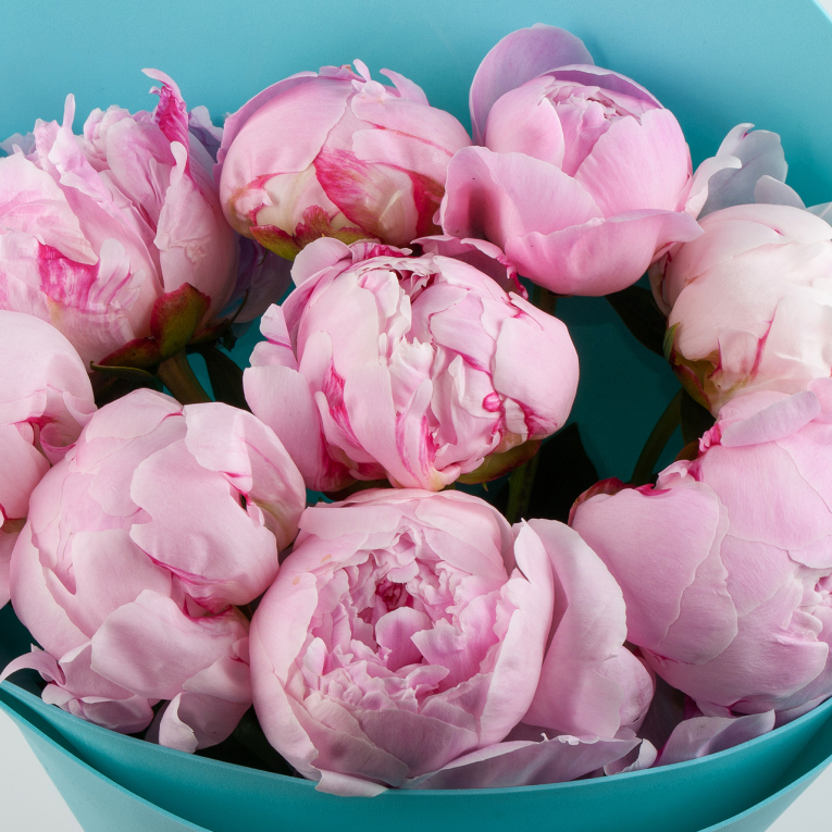 Букет из 9 пионов Светлые чувства