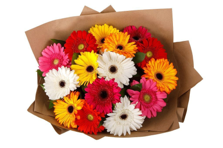 Букет из 15 гербер Раскраска