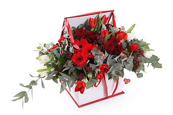 Алый соблазн в коробке