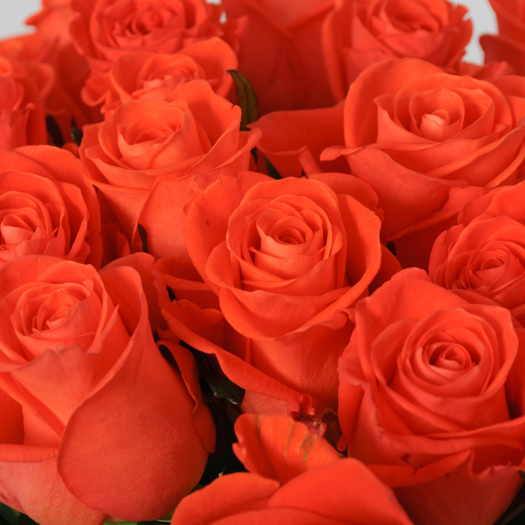 Букет 25 роз Вау