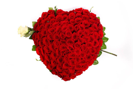 Букет Это любовь, 101 роза в коробке