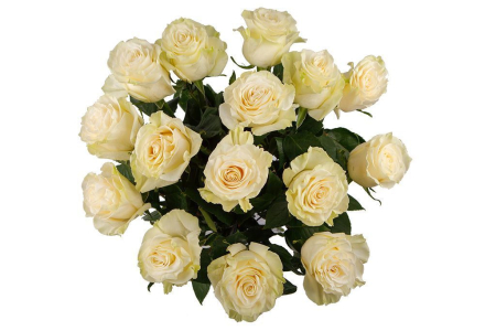 Букет 15 роз Мондиаль