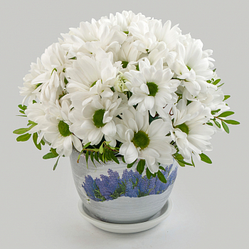 Букет в кашпо Время любви