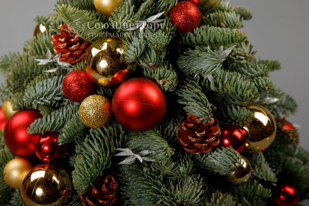 Композиция в кашпо Лесная красавица